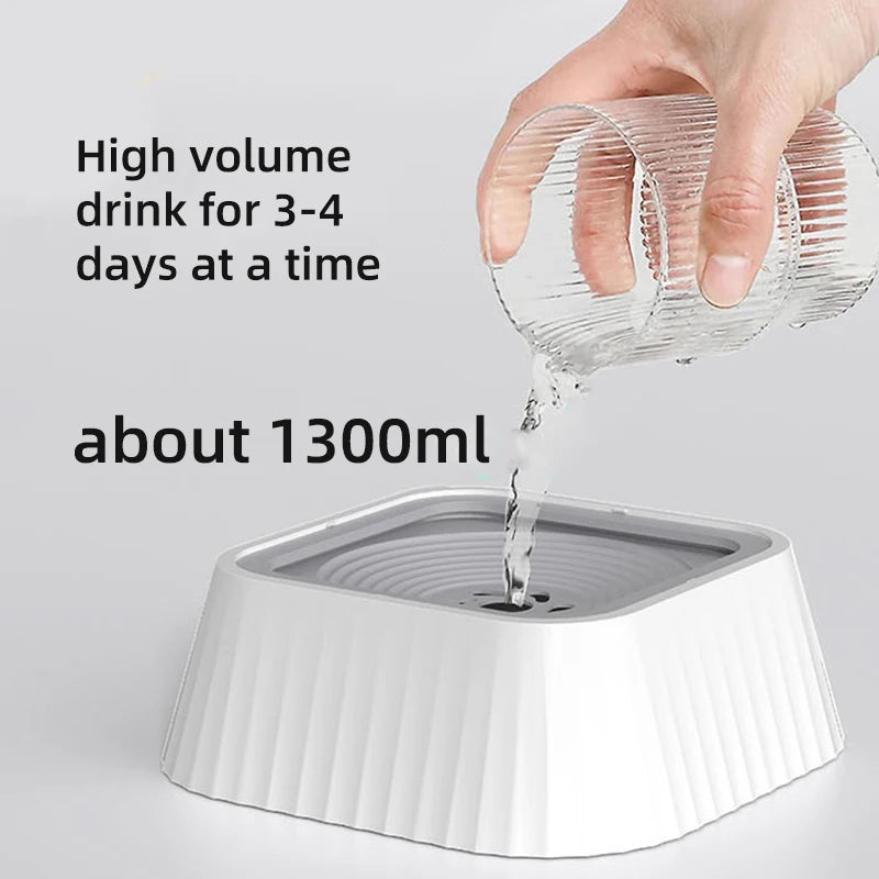 TheSplashFreeBowl