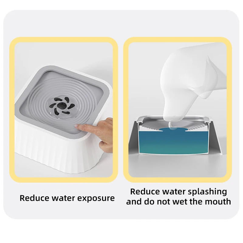 TheSplashFreeBowl